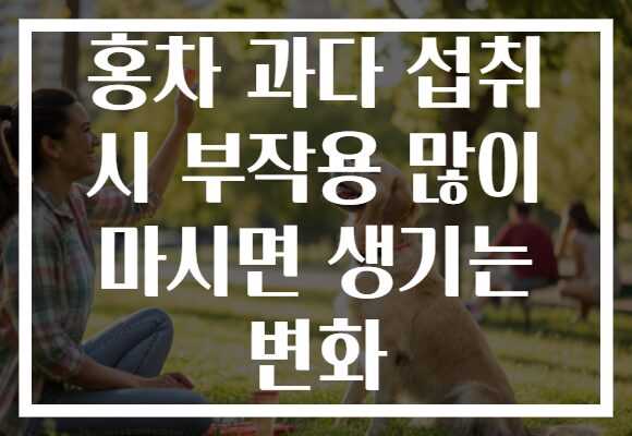 홍차 과다 섭취 시 부작용 많이 마시면 생기는 변화
