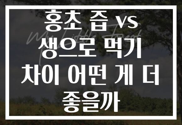 홍초 즙 vs 생으로 먹기 차이 어떤 게 더 좋을까