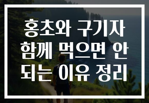 홍초와 구기자 함께 먹으면 안 되는 이유 정리