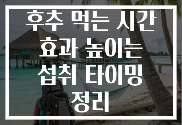 후추 먹는 시간 효과 높이는 섭취 타이밍 정리