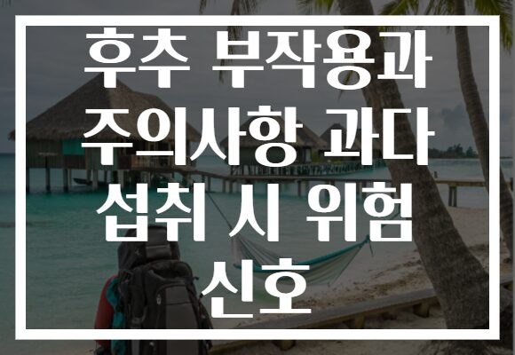 후추 부작용과 주의사항 과다 섭취 시 위험 신호