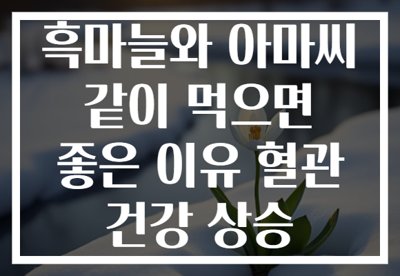 흑마늘와 아마씨 같이 먹으면 좋은 이유 혈관 건강 상승