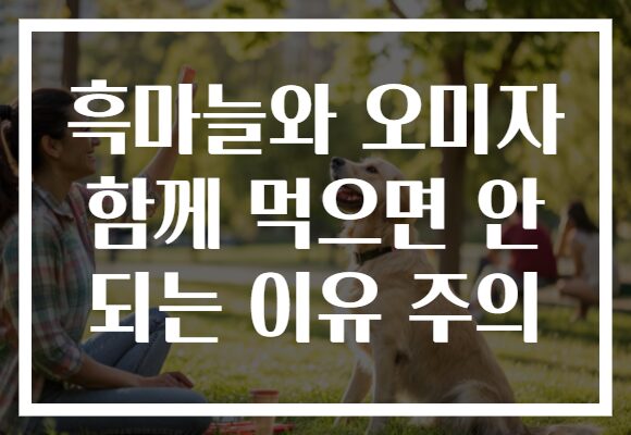 흑마늘와 오미자 함께 먹으면 안 되는 이유 주의