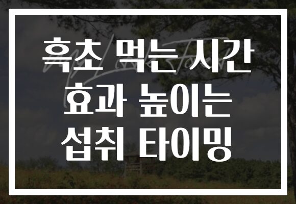 흑초 먹는 시간 효과 높이는 섭취 타이밍