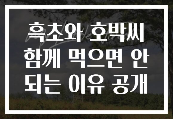 흑초와 호박씨 함께 먹으면 안 되는 이유 공개