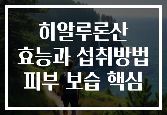 히알루론산 효능과 섭취방법 피부 보습 핵심