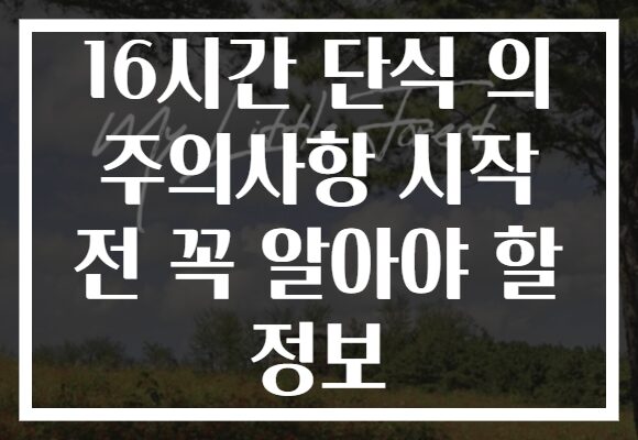 16시간 단식 의 주의사항 시작 전 꼭 알아야 할 정보