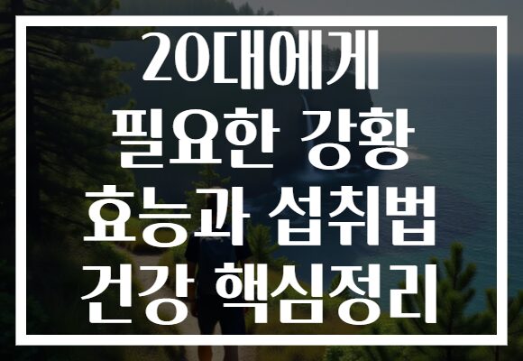 20대에게 필요한 강황 효능과 섭취법 건강 핵심정리