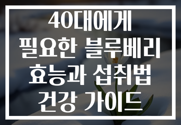 40대에게 필요한 블루베리 효능과 섭취법 건강 가이드