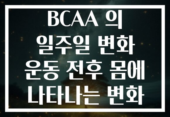 BCAA 의 일주일 변화 운동 전후 몸에 나타나는 변화