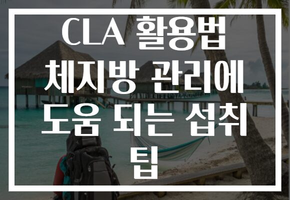 CLA 활용법 체지방 관리에 도움 되는 섭취 팁