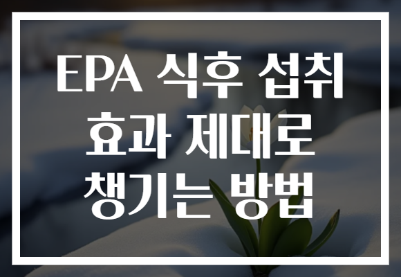 EPA 식후 섭취 효과 제대로 챙기는 방법