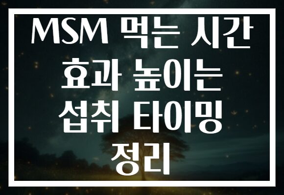 MSM 먹는 시간 효과 높이는 섭취 타이밍 정리