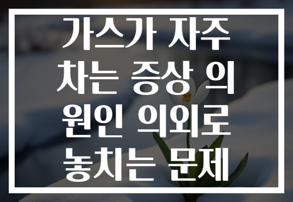 가스가 자주 차는 증상 의 원인 의외로 놓치는 문제