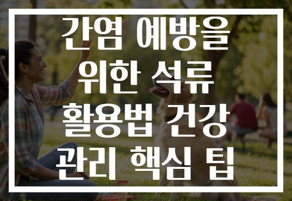 간염 예방을 위한 석류 활용법 건강 관리 핵심 팁