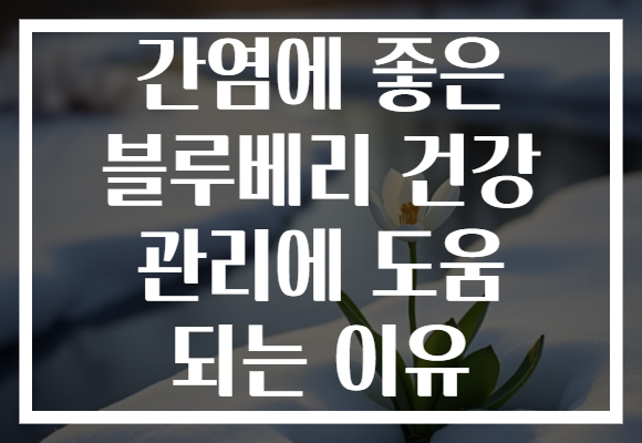 간염에 좋은 블루베리 건강 관리에 도움 되는 이유