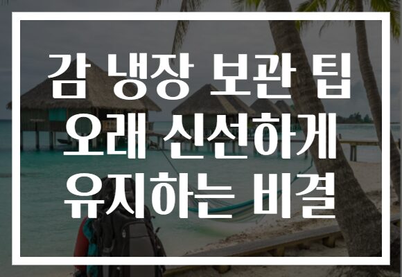 감 냉장 보관 팁 오래 신선하게 유지하는 비결