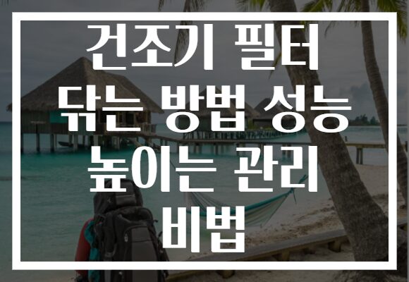 건조기 필터 닦는 방법 성능 높이는 관리 비법