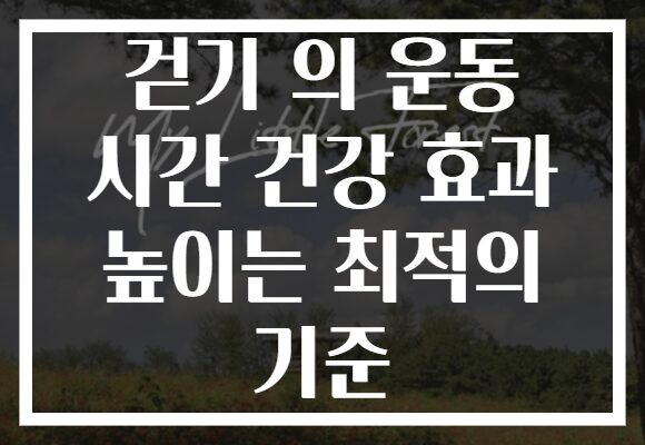 걷기 의 운동 시간 건강 효과 높이는 최적의 기준