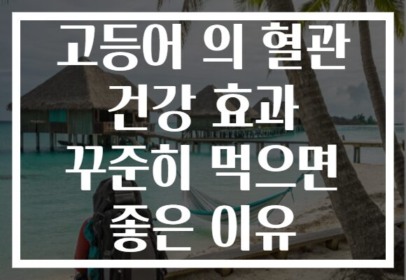 고등어 의 혈관 건강 효과 꾸준히 먹으면 좋은 이유