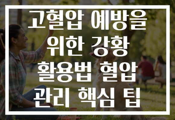 고혈압 예방을 위한 강황 활용법 혈압 관리 핵심 팁