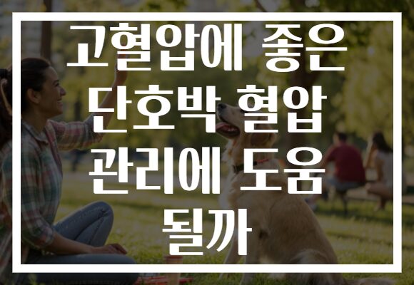 고혈압에 좋은 단호박 혈압 관리에 도움 될까