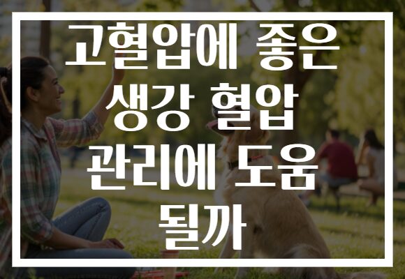 고혈압에 좋은 생강 혈압 관리에 도움 될까