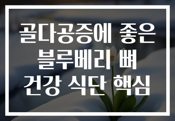 골다공증에 좋은 블루베리 뼈 건강 식단 핵심