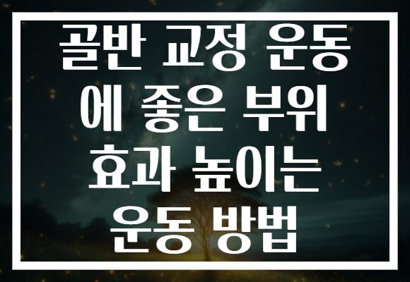 골반 교정 운동 에 좋은 부위 효과 높이는 운동 방법