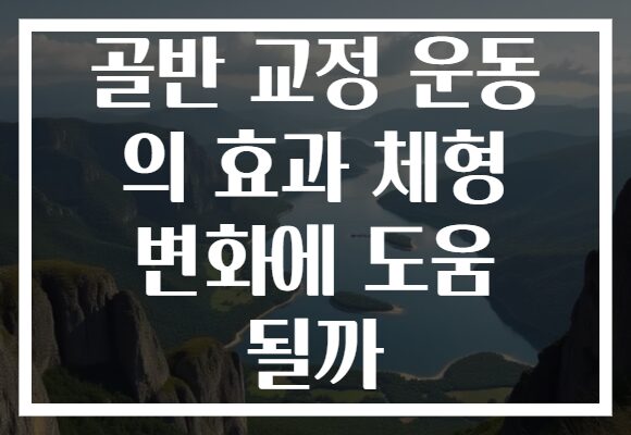 골반 교정 운동 의 효과 체형 변화에 도움 될까
