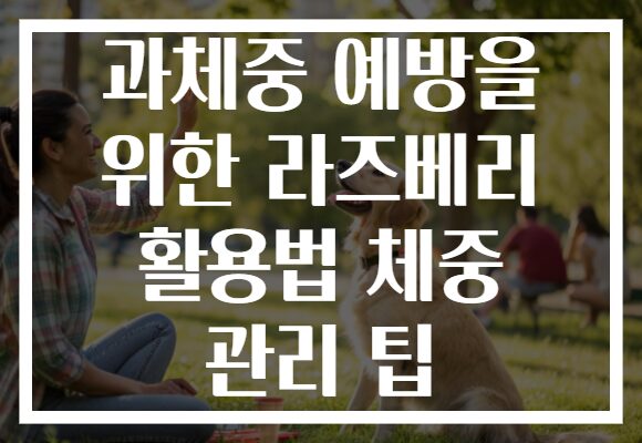 과체중 예방을 위한 라즈베리 활용법 체중 관리 팁