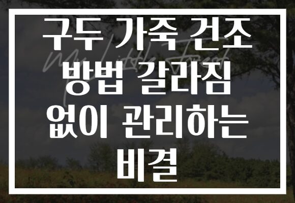 구두 가죽 건조 방법 갈라짐 없이 관리하는 비결