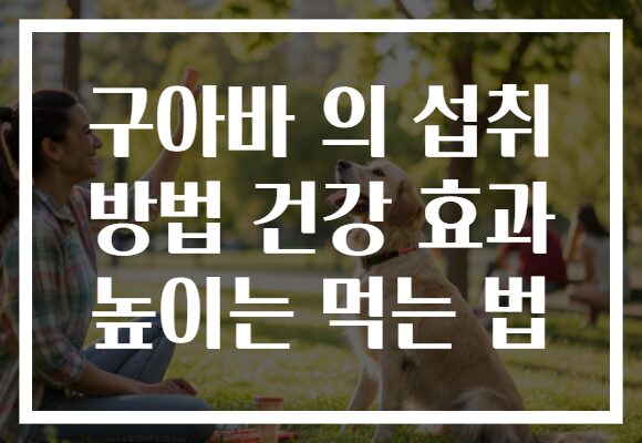 구아바 의 섭취 방법 건강 효과 높이는 먹는 법