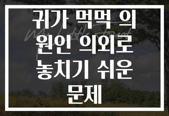 귀가 먹먹 의 원인 의외로 놓치기 쉬운 문제