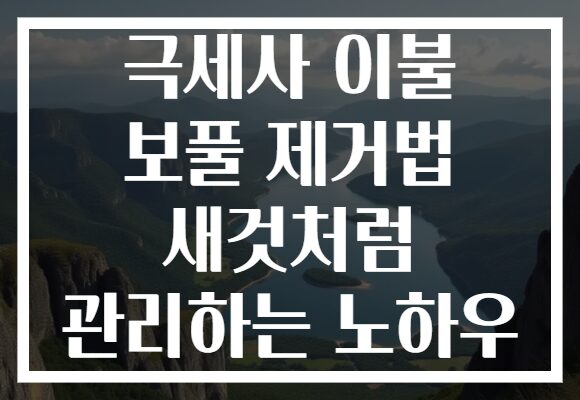극세사 이불 보풀 제거법 새것처럼 관리하는 노하우