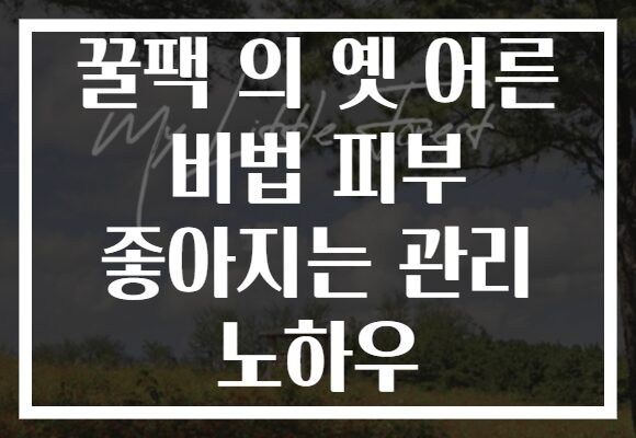 꿀팩 의 옛 어른 비법 피부 좋아지는 관리 노하우