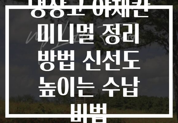 냉장고 야채칸 미니멀 정리 방법 신선도 높이는 수납 비법