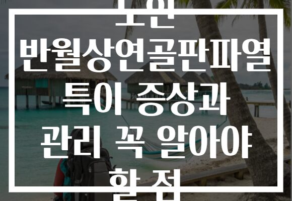 노인 반월상연골판파열 특이 증상과 관리 꼭 알아야 할 점