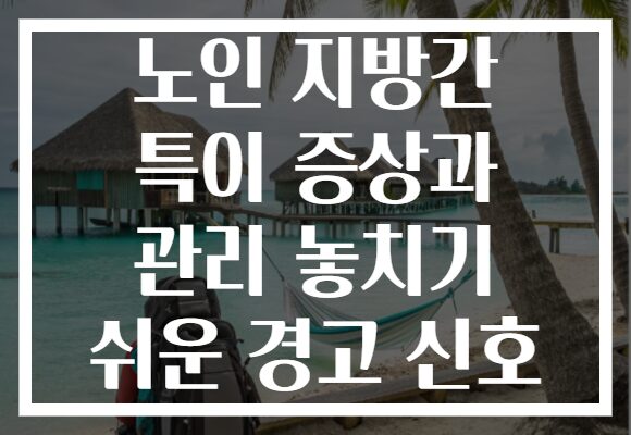 노인 지방간 특이 증상과 관리 놓치기 쉬운 경고 신호