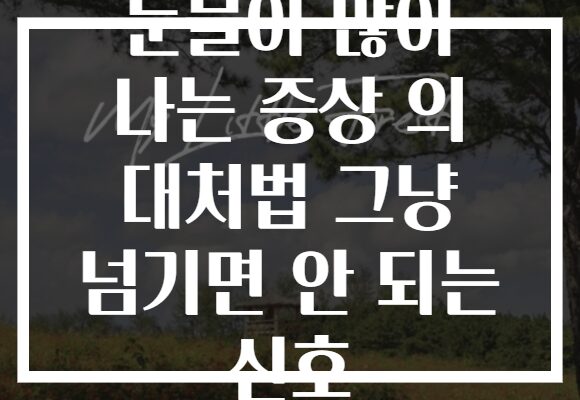 눈물이 많이 나는 증상 의 대처법 그냥 넘기면 안 되는 신호