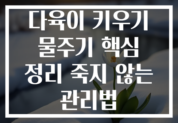 다육이 키우기 물주기 핵심 정리 죽지 않는 관리법