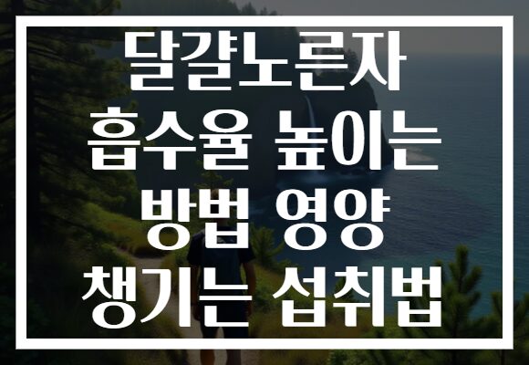 달걀노른자 흡수율 높이는 방법 영양 챙기는 섭취법
