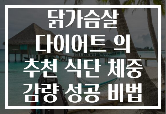 닭가슴살 다이어트 의 추천 식단 체중 감량 성공 비법