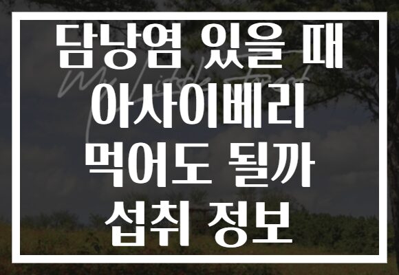 담낭염 있을 때 아사이베리 먹어도 될까 섭취 정보