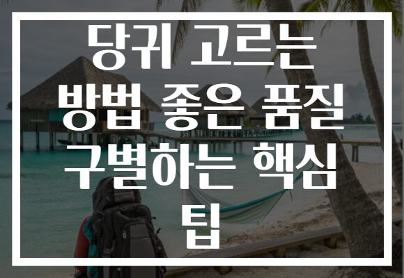 당귀 고르는 방법 좋은 품질 구별하는 핵심 팁