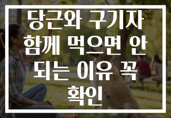 당근와 구기자 함께 먹으면 안 되는 이유 꼭 확인