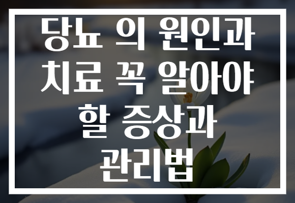 당뇨 의 원인과 치료 꼭 알아야 할 증상과 관리법