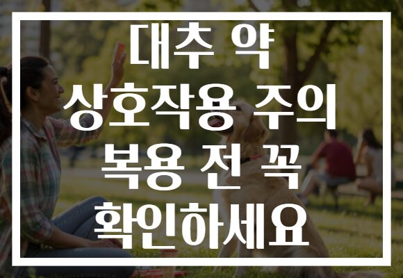 대추 약 상호작용 주의 복용 전 꼭 확인하세요