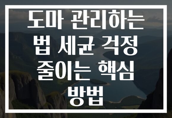 도마 관리하는 법 세균 걱정 줄이는 핵심 방법