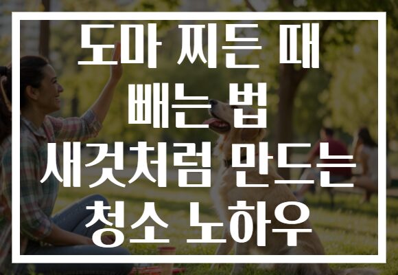 도마 찌든 때 빼는 법 새것처럼 만드는 청소 노하우